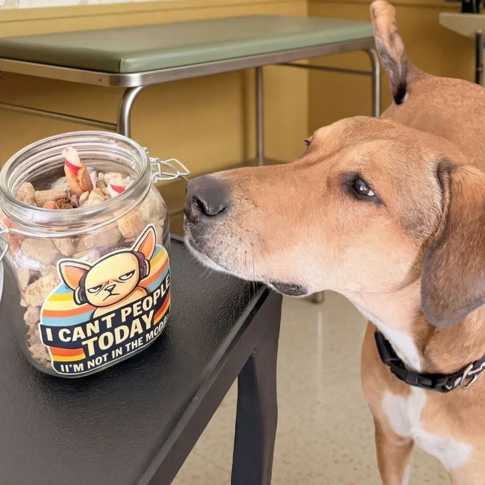 Funny Snack Jar – “I Can’t People Today” Glass Cookie Candy Pretzel Jar (38oz)